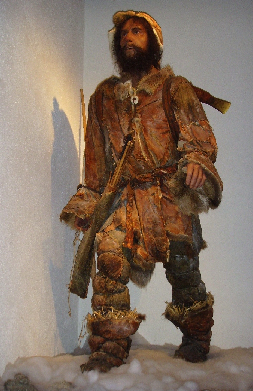 Model of Ötzi the Iceman in exhibit at the South Tyrol Museum of Archaeology.